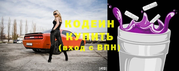 дурь Вяземский