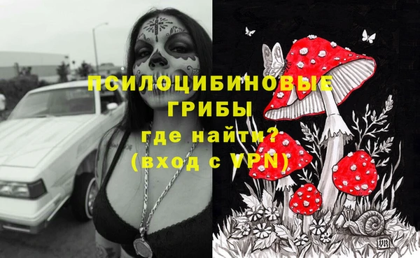 apvp Горнозаводск