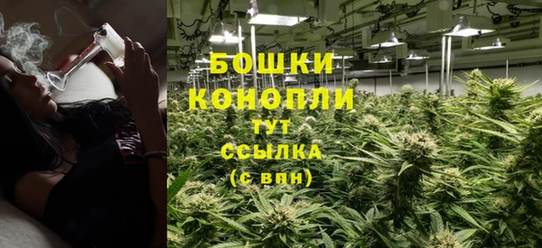 дурь Вяземский