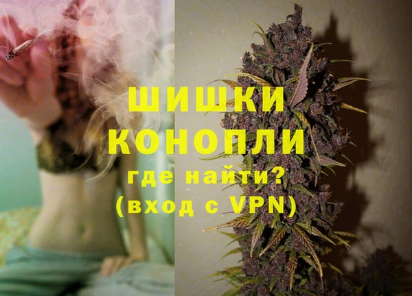 амф Горняк