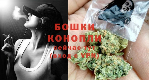 дурь Вяземский