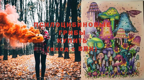 дурь Вяземский