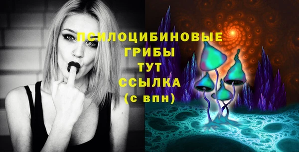 сатива Кулебаки