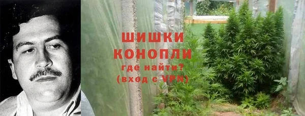 амф Горняк