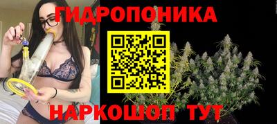 гашик Бийск