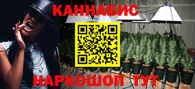 гашик Бийск