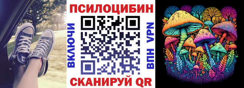 купить наркотики сайты  Можайск  Псилоцибиновые грибы Psilocybe 