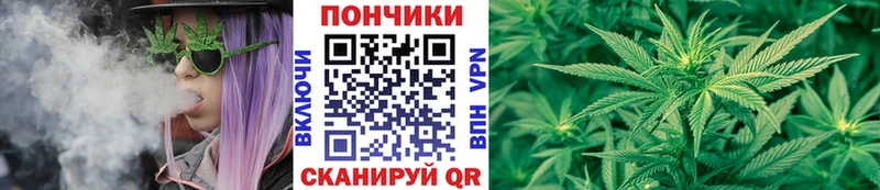 где купить наркоту  Можайск  MEGA вход  Бошки Шишки конопля 